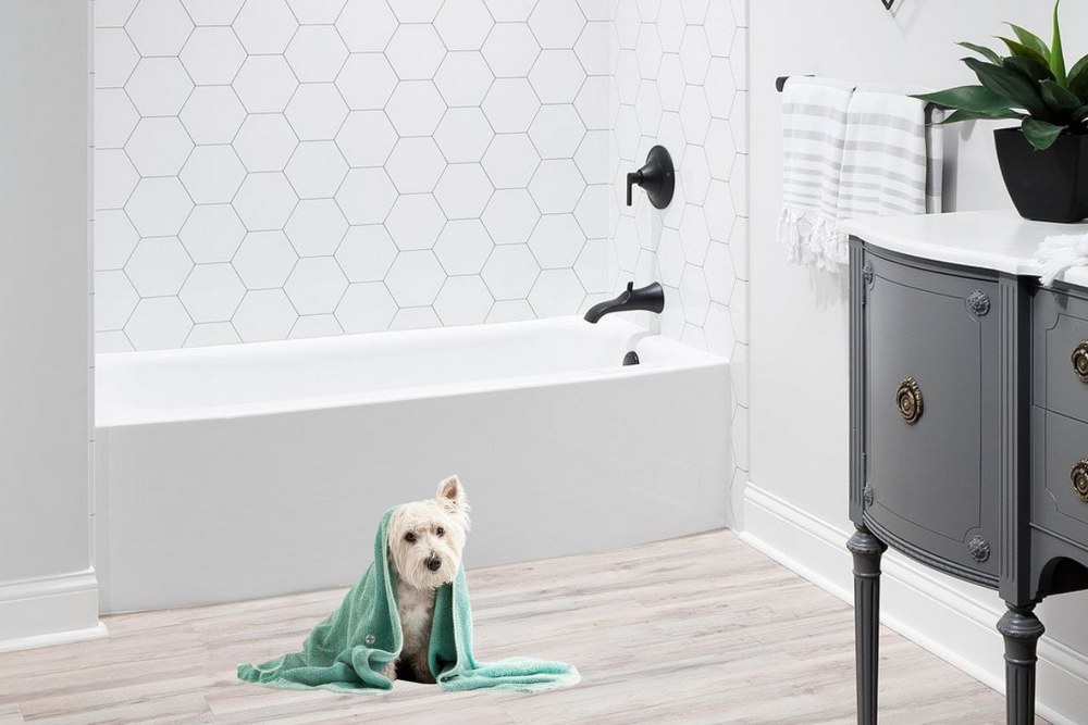 Are Bathtubs Safer for Pets During Bath Time Compared to Showers?