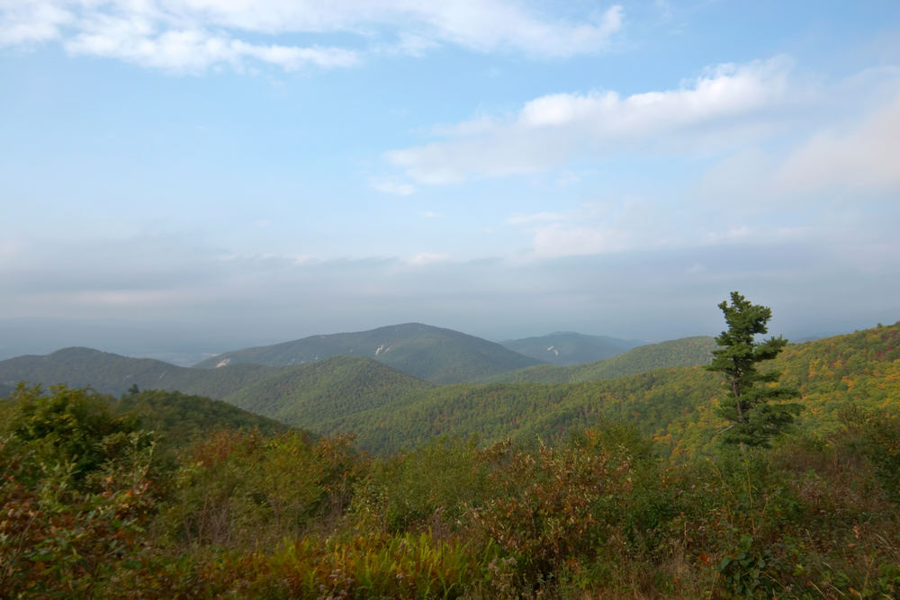 Bath Company in Indian Valley, VA