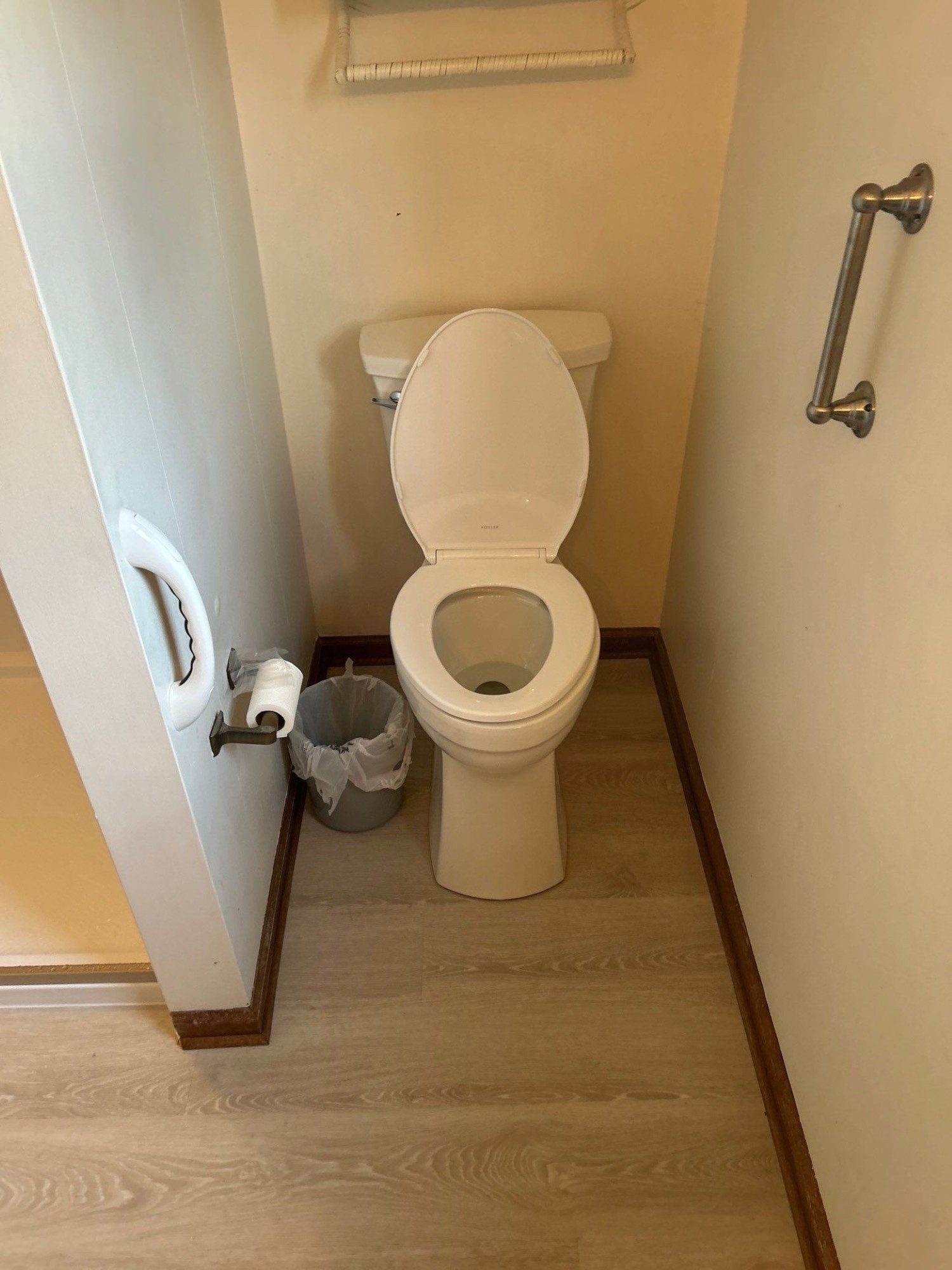 Shower, Toilet, and Flooring Remodel
