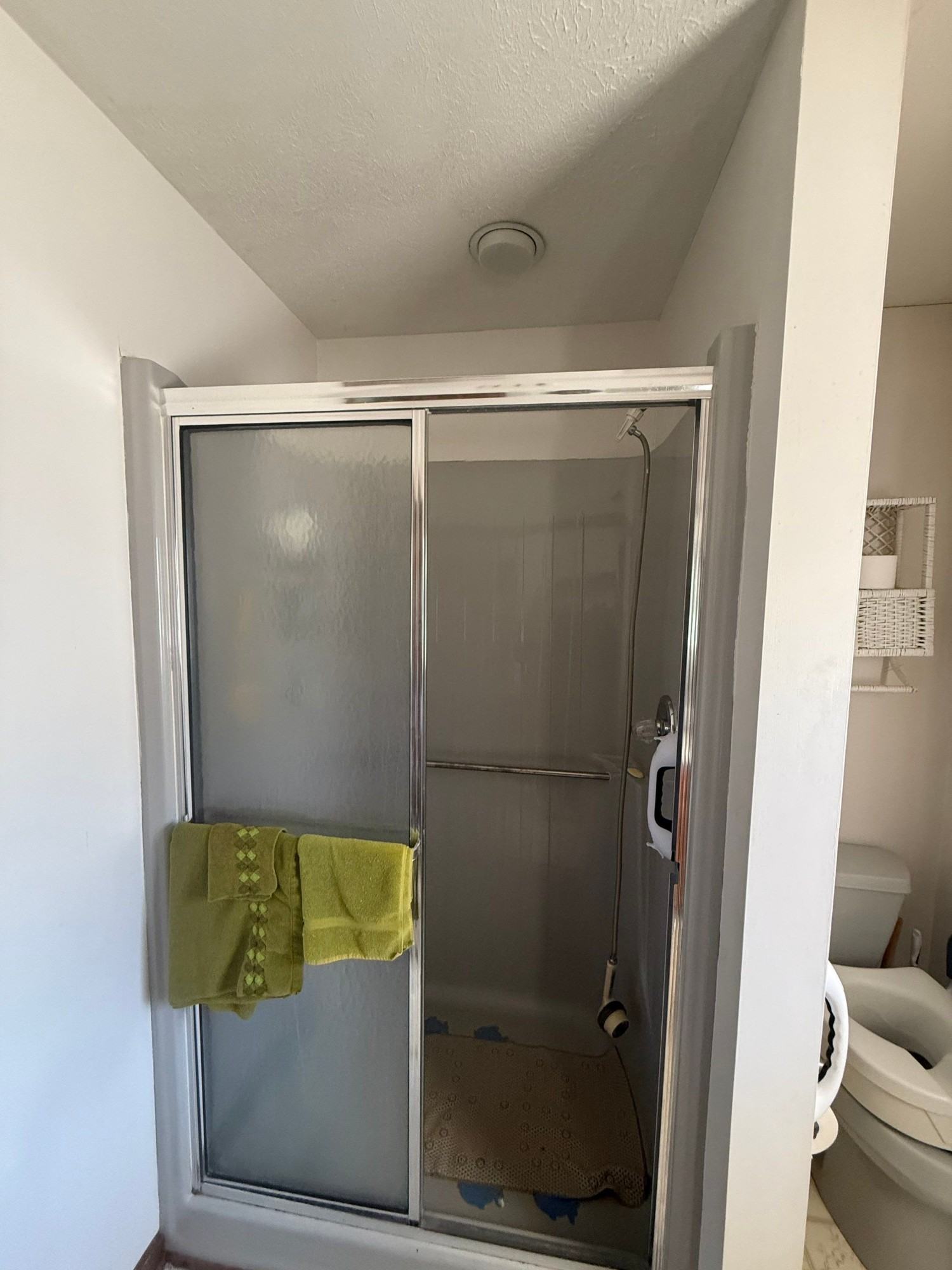 Shower, Toilet, and Flooring Remodel