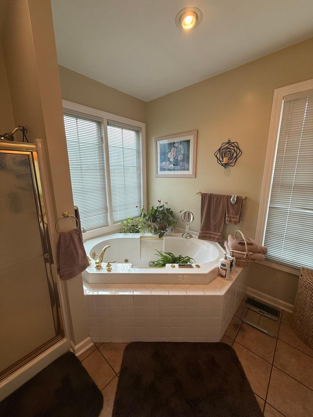 Bath-to-Shower Conversion in Cave Spring, VA (3)
