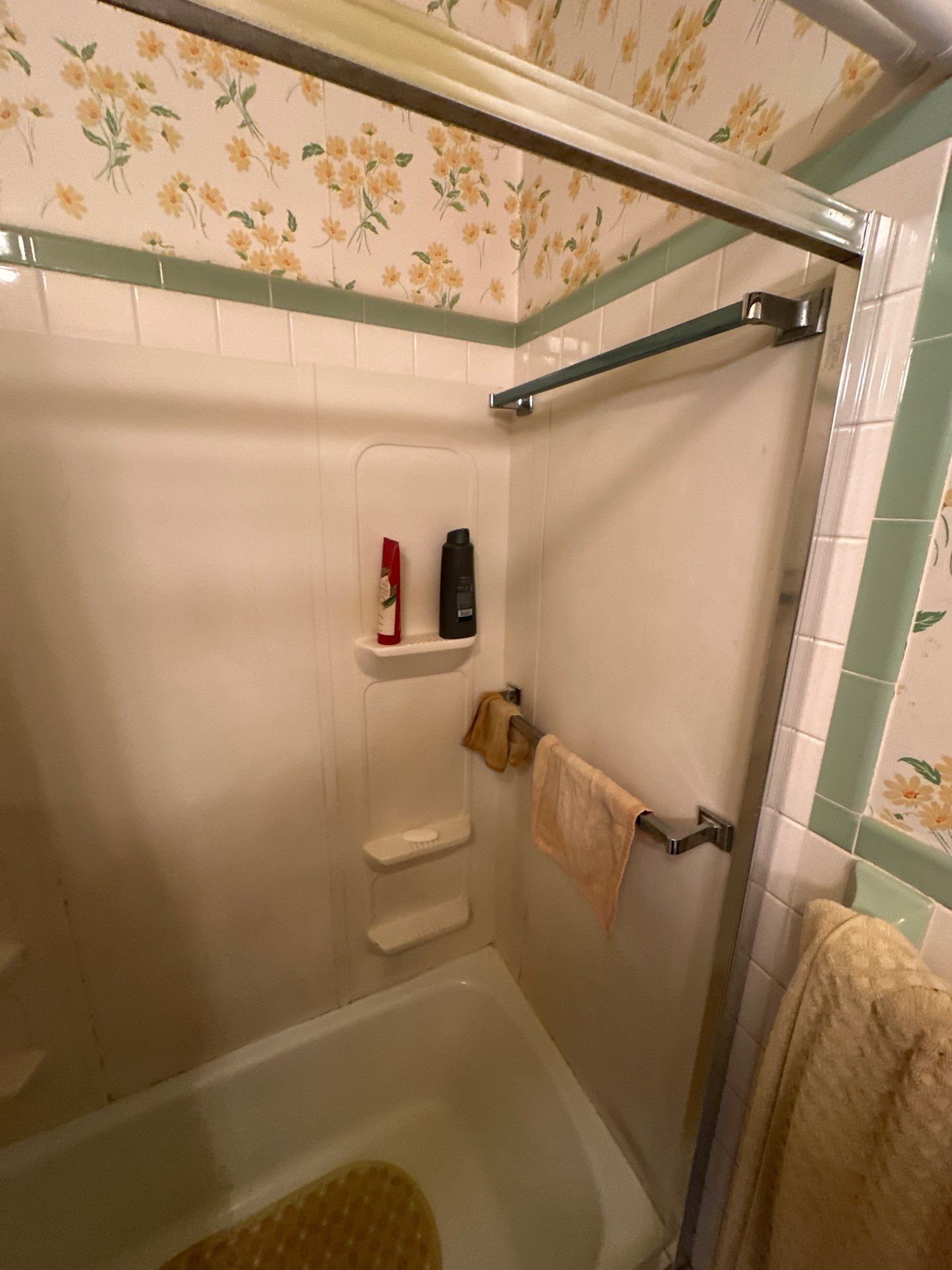 Tub-to-Shower Accessible Upgrade in Mount Sidney, VA (5)