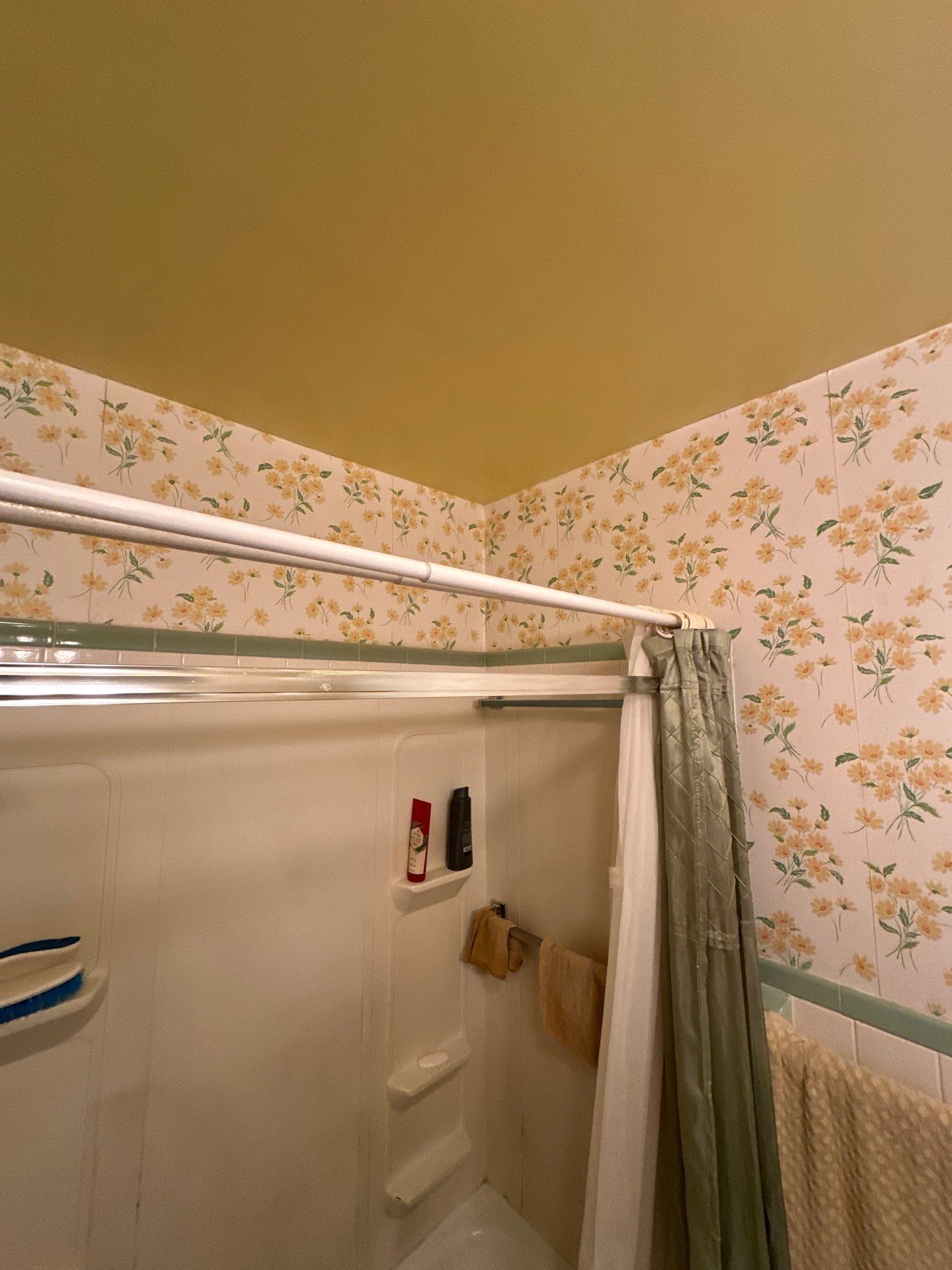 Tub-to-Shower Accessible Upgrade in Mount Sidney, VA (6)