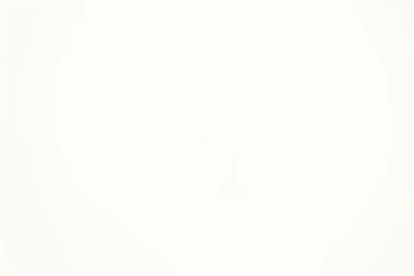White color swatch
